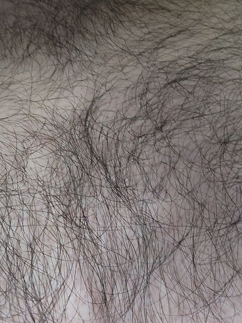 huskyhairyhomo nude