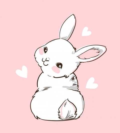 @little_bunnypaw