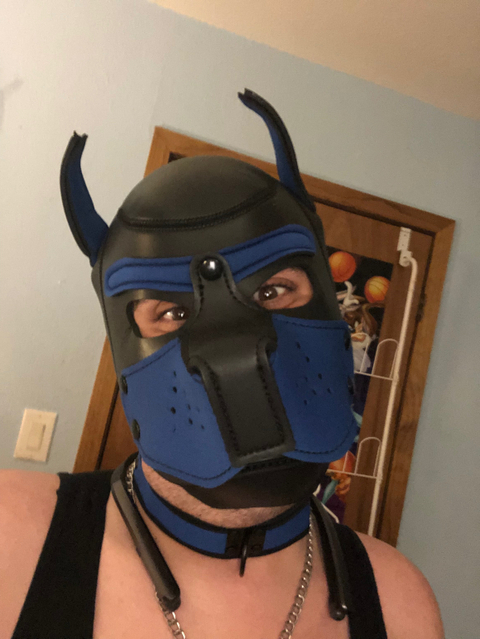 @pup_sparkey