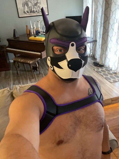 @pupcubpablo