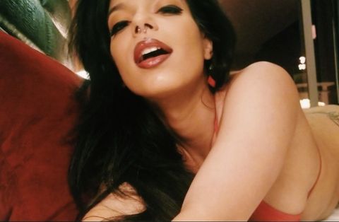 Image of torothadon OnlyFans