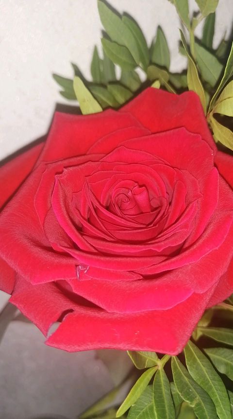 Image of mariabellucci14 OnlyFans