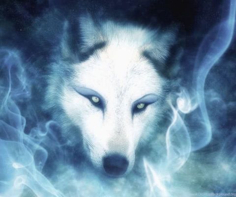 Image of wolfpositivity OnlyFans