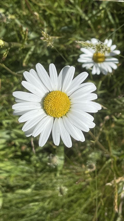 Image of samsammsamm OnlyFans