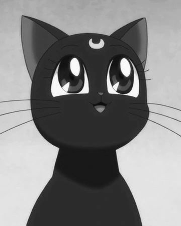 Image of kittentears OnlyFans