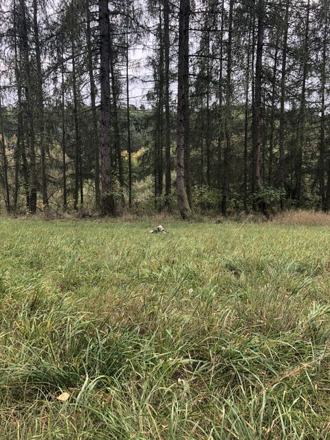 Image of janesocks7 OnlyFans