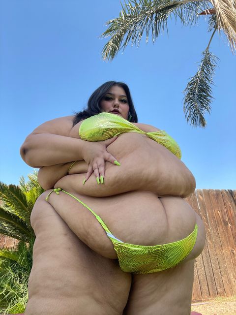 Image of ssbbwleighton OnlyFans