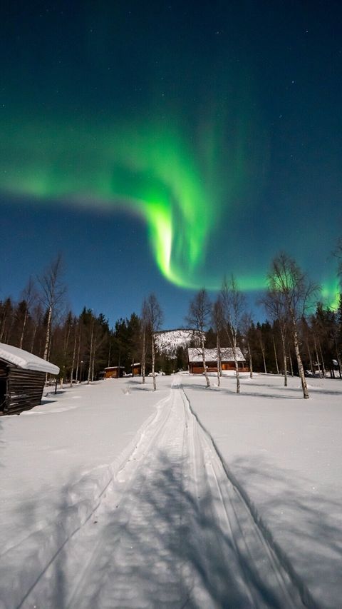 Image of private_dweller OnlyFans