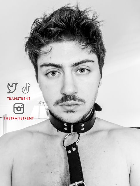 Image of transtrentfree OnlyFans