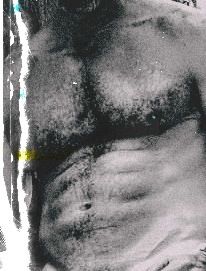 Image of thedadbate OnlyFans