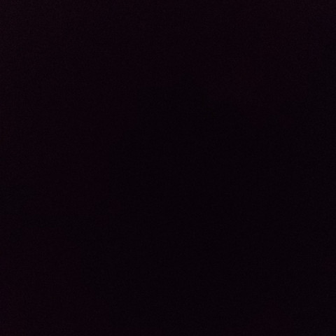 . profile picture