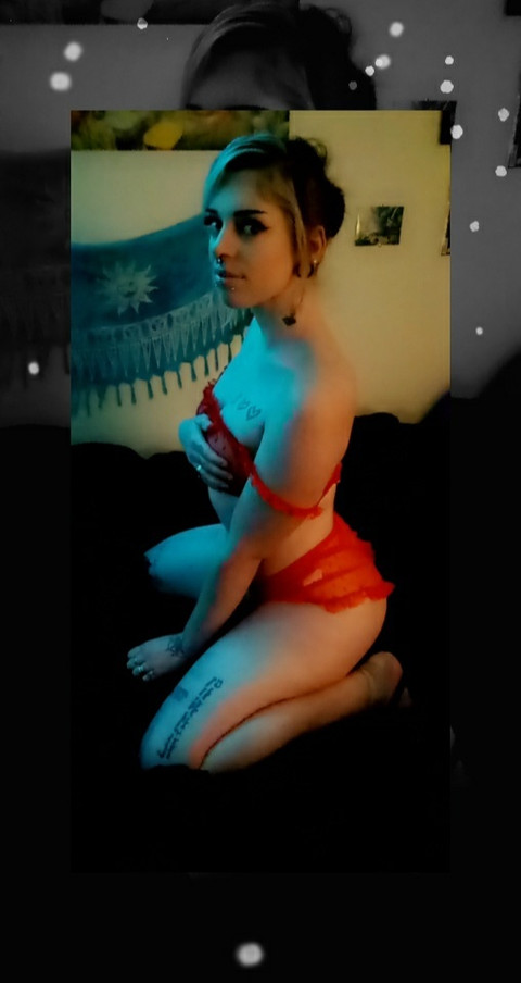 bunnycakes profile picture