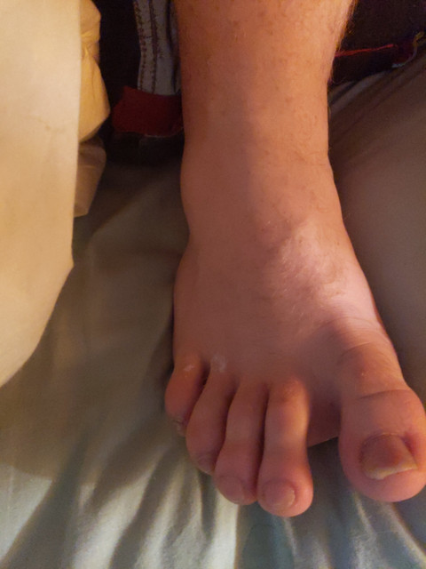 Bigfoot profile picture