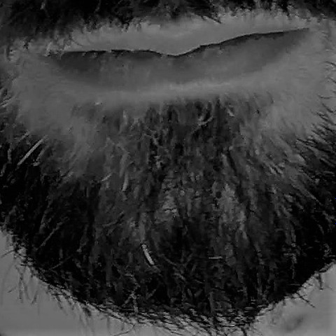 Sidonay - All Kinks profile picture