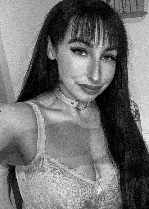 Stella Wynter profile picture