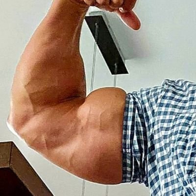 germanmuscleboss Profilbild