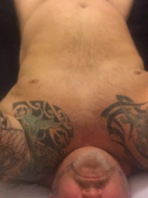 Bear profile picture