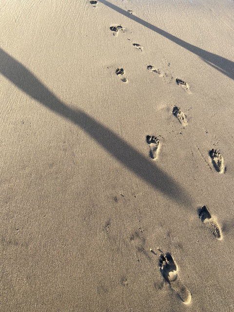 My Feet Around the World 🌍 profile picture
