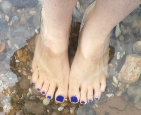 Twinkletoes profile picture