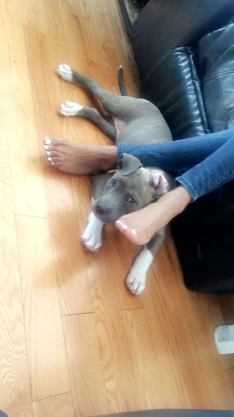 FeetFatale profile picture