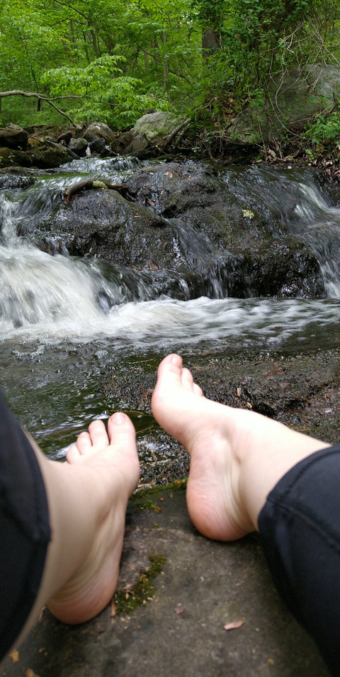 Talullah's Tiny Toes profile picture