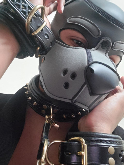 Yeen Pup Bean profile picture