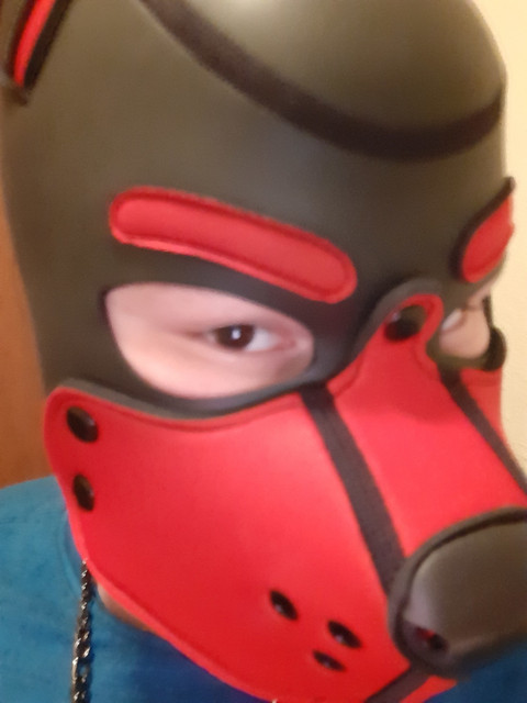 Bacchy_Puppy profile picture