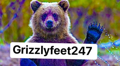 Grizzly Feet profile picture