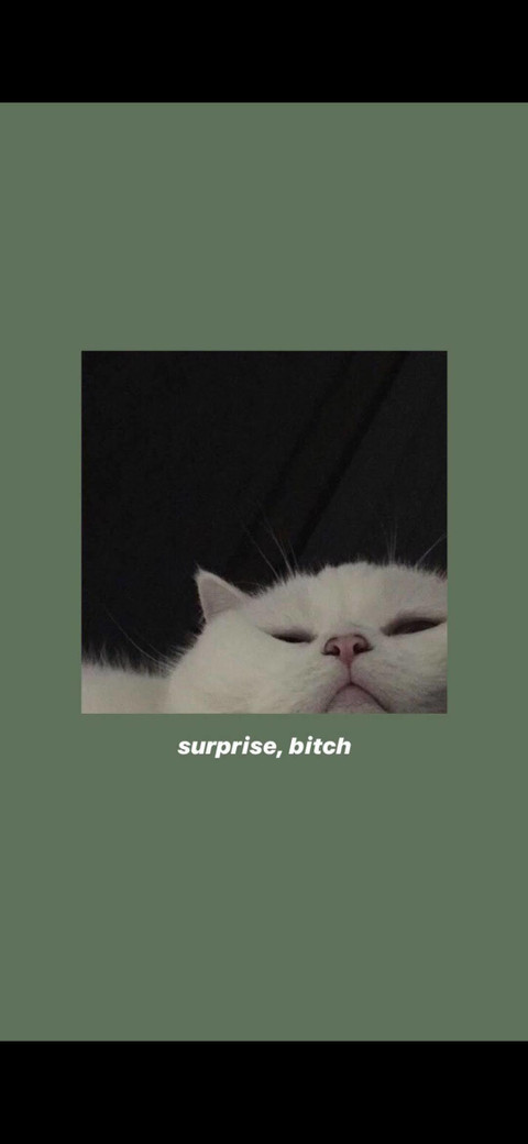 bigfeetenergy profile picture