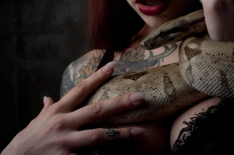 Masha Liviesk profile picture