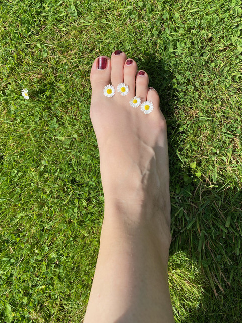 FeetxSolexToes profile picture