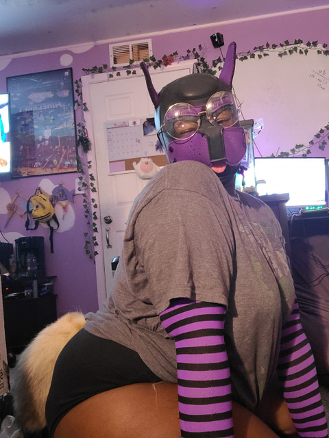 Dragon paws profile picture