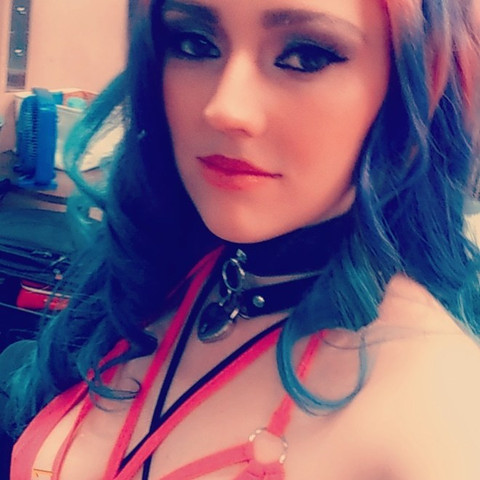 Cookie Wolfie profile picture