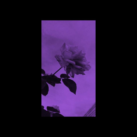 Hiday profile picture