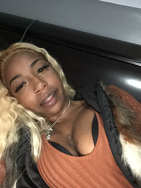 Holly Starr profile picture