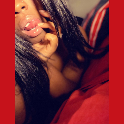 S h a m m y profile picture