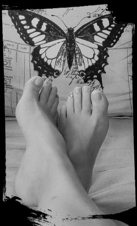Barefoot Bunny profile picture