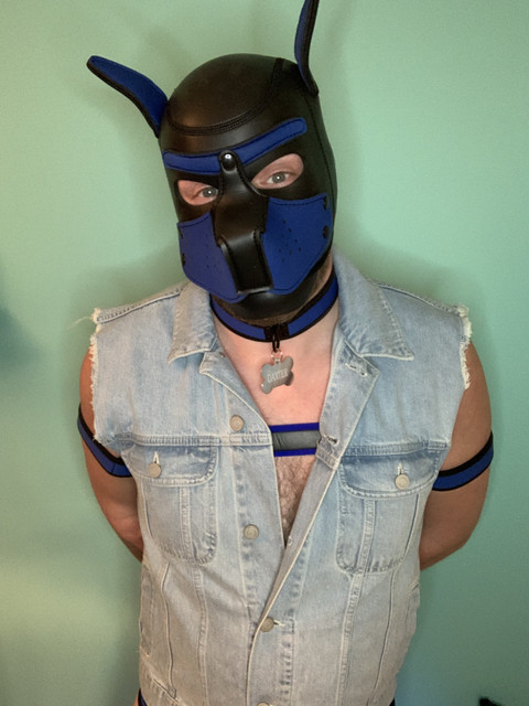 Pup Daxter profile picture