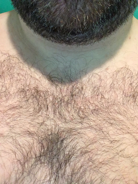 Daddy Bear profile picture