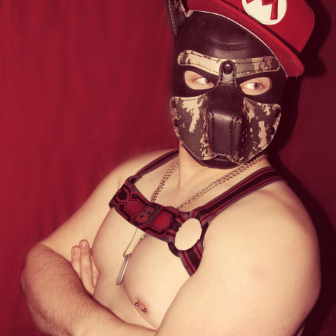 Pup Incubus profile picture