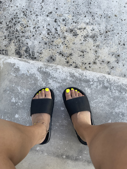 Dominican Toes profile picture