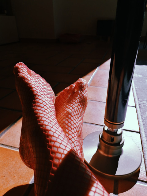 Gingysexyfeet profile picture