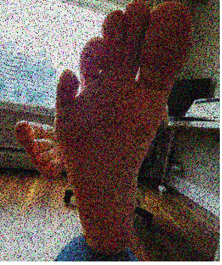 Tipitapitoes profile picture