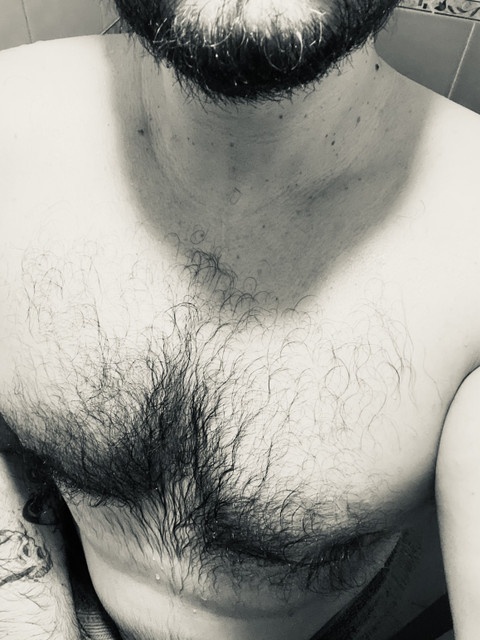 Kinky Bear profile picture