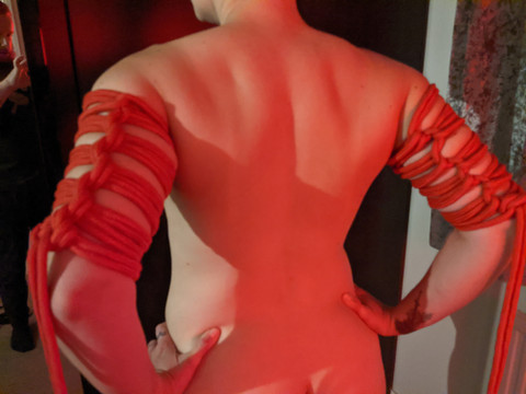 DeusExSanguinus profile picture