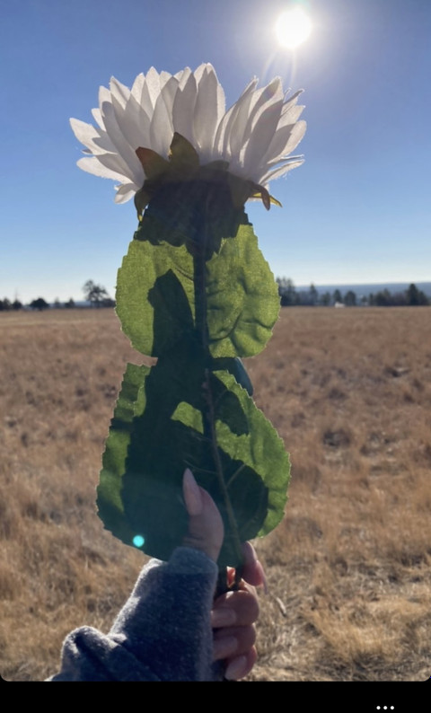 Artemis profile picture
