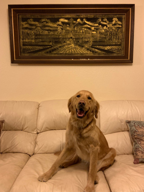 Charlee profile picture