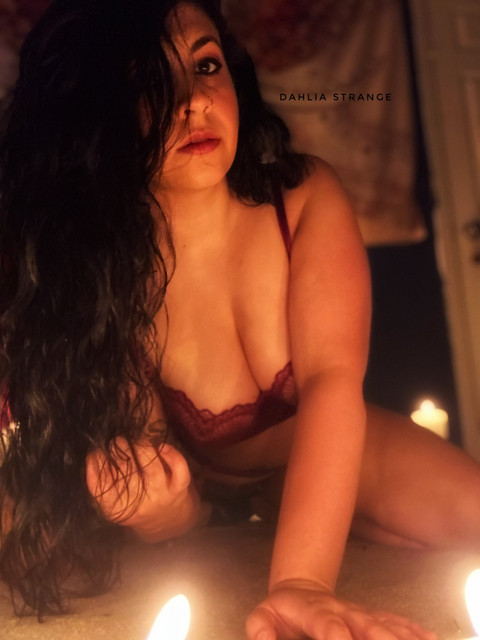 Dahlia Strange profile picture