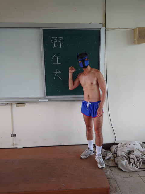 傲嬌狗 profile picture