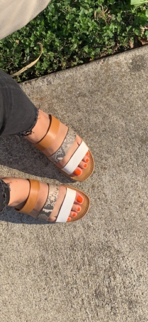 Twinkle_Little_Toes profile picture